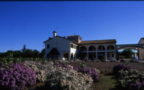 Гостиница Agriturismo Due Torri  Монтебеллюна
